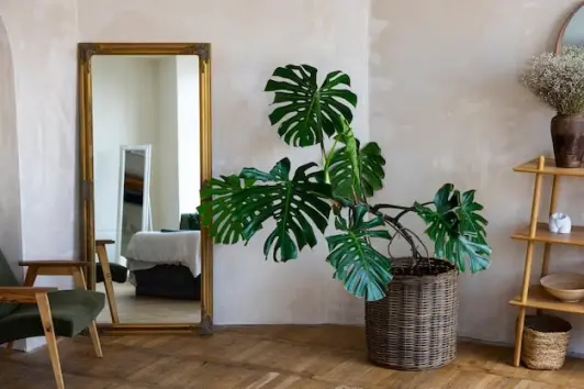 Top Wall Mirror Designs